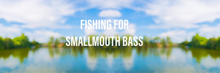 How to catch Smallmouth Bass