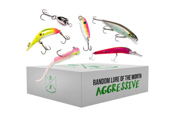 New Random Lure of the Month Aggressive