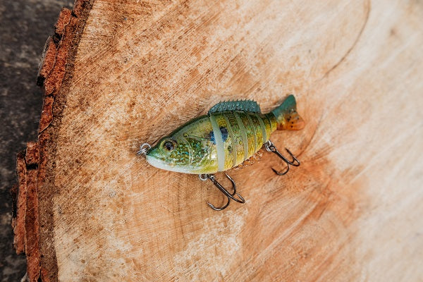 Huge Jointed Swimbait from the RLM Elite Subscription Box from Simple Fishing